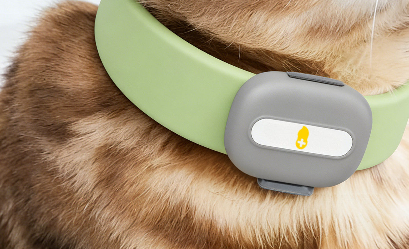 智能穿戴与宠物健康设备